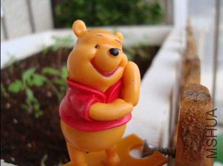 ��֪��ʲôʱ��������ļһ�