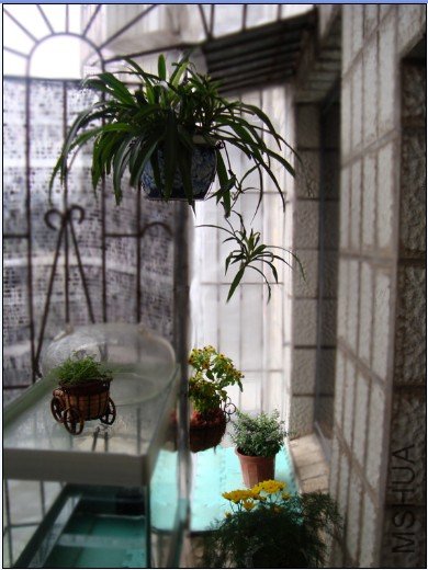 �����⾰����