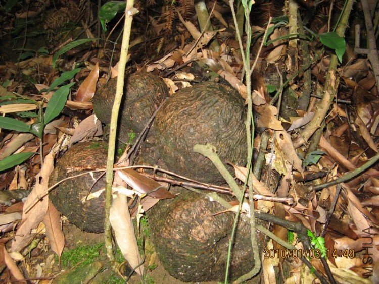 �ٺϿ�,������,������?