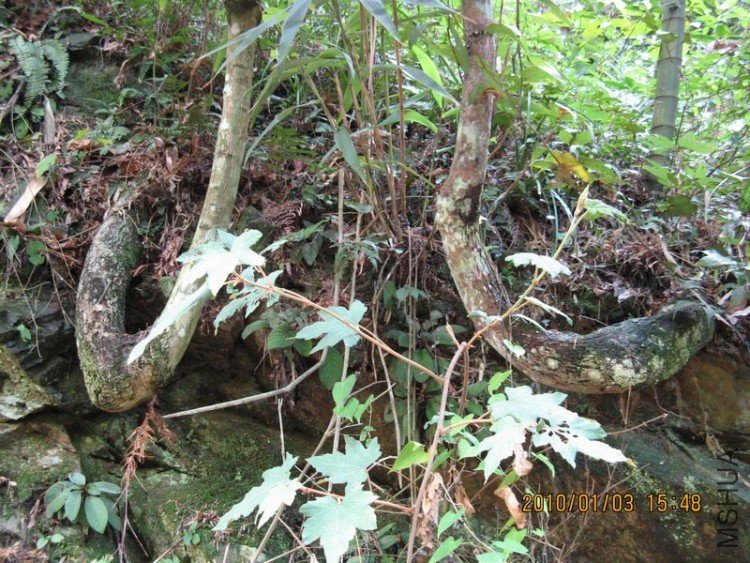 ���ù���