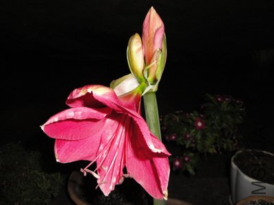 û�� ��ҽ��Ϳ��� 