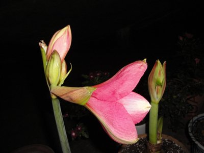 �ȳ�����Ǿ��� ���ǵ���ķ�ɫ�����ȿ���ѽ