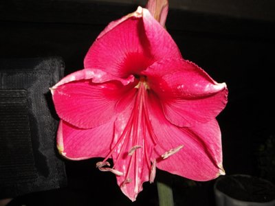 ���Ϻںڵ��Ǹ�������� ��ͦ��İ�