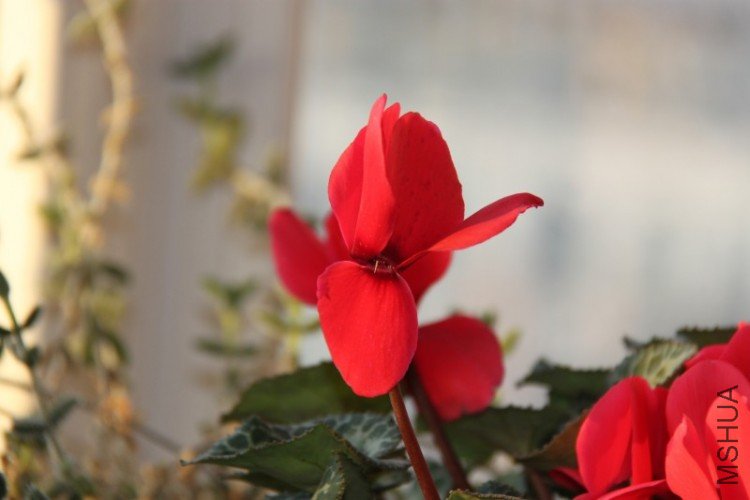 ��Ƭ 028.jpg