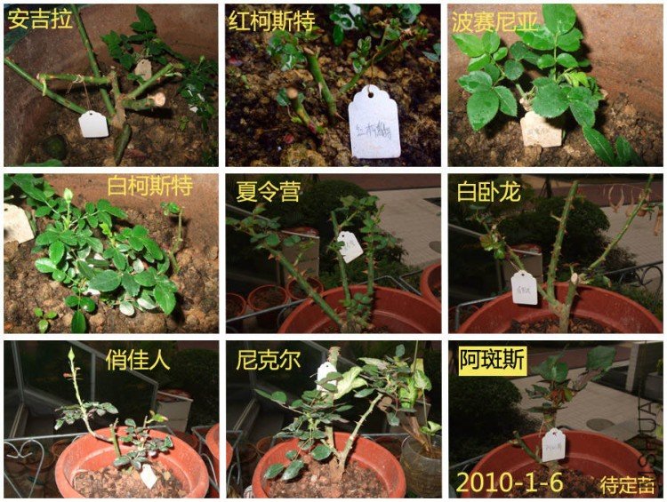 1-6������9�� ����.jpg