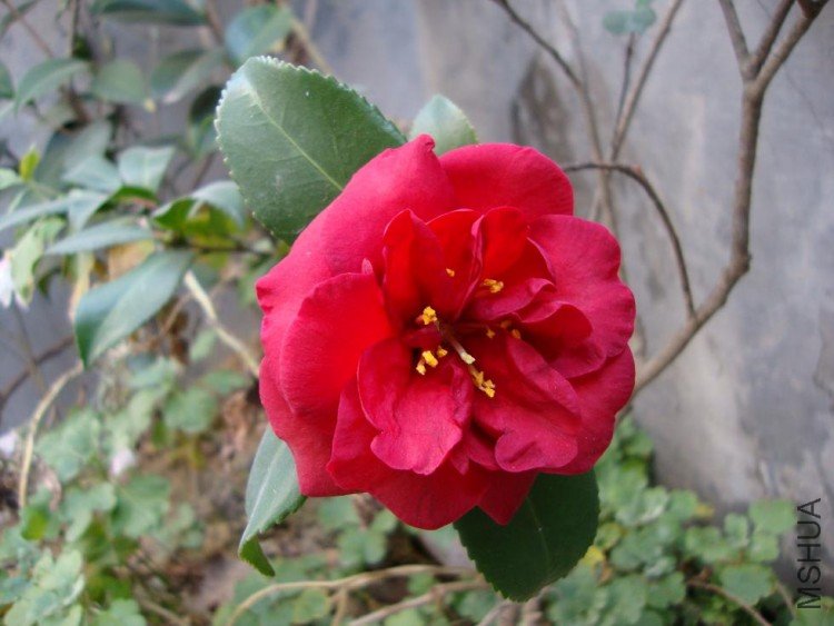 DSC00024.JPG