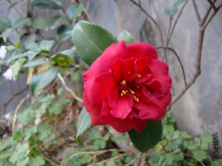 DSC00025.JPG