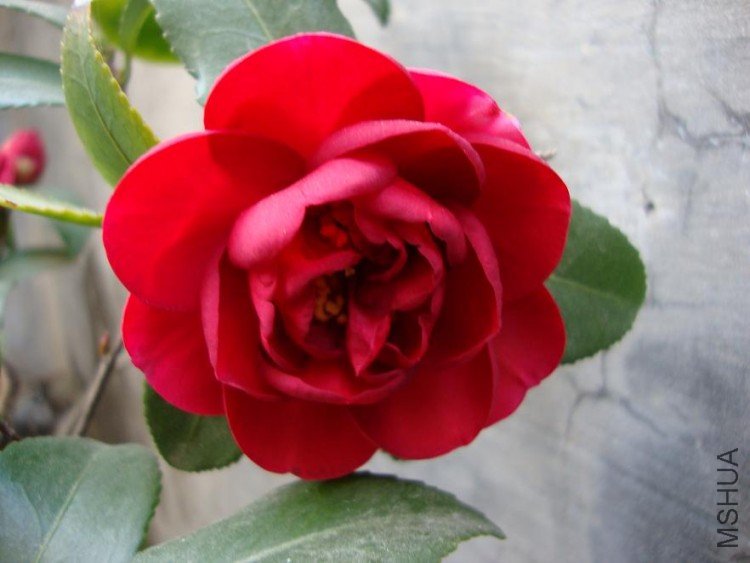 DSC00074.JPG