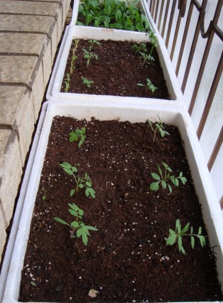 ר������ȥ�Ĳų�������