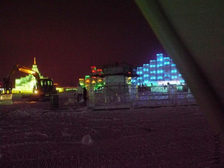P1040757.JPG