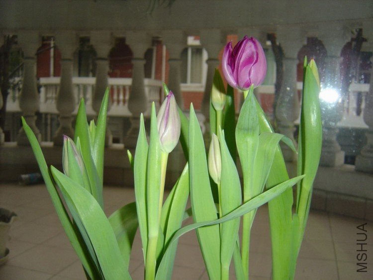 DSC01841.JPG