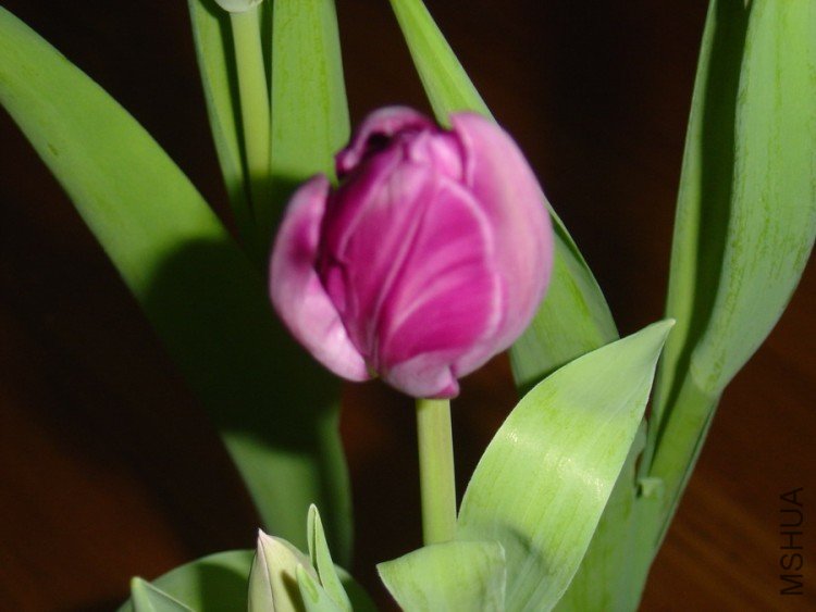 DSC01843.JPG