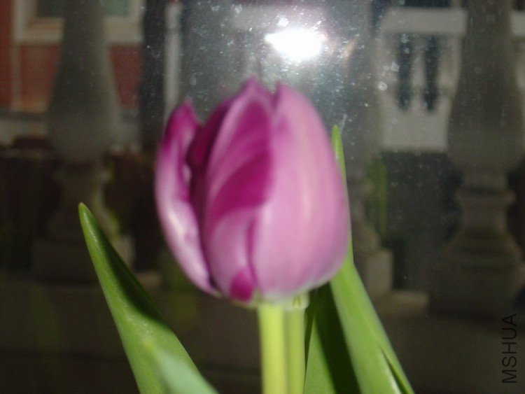 DSC01839.JPG