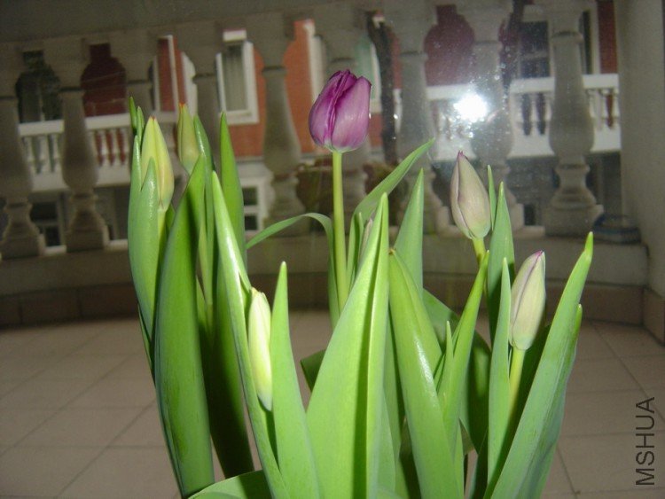 DSC01842.JPG
