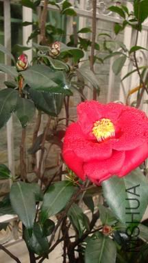 DSC04254.JPG