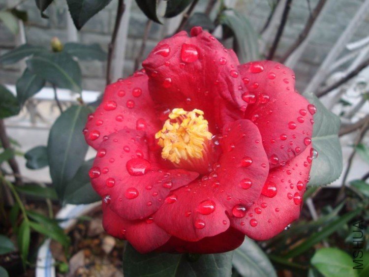 DSC04234.JPG
