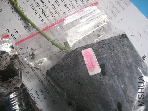 ��������ɶ�ˣ�Ӧ���������أ�զֻ�����֣�