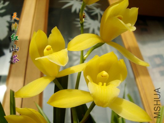 09�ƽ�С5.jpg