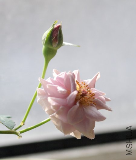 IMG_3265.JPG
