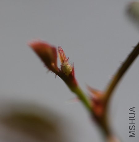 IMG_3266.JPG