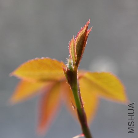 IMG_3308.JPG