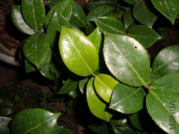 �󲿷ֵ�ʵ����