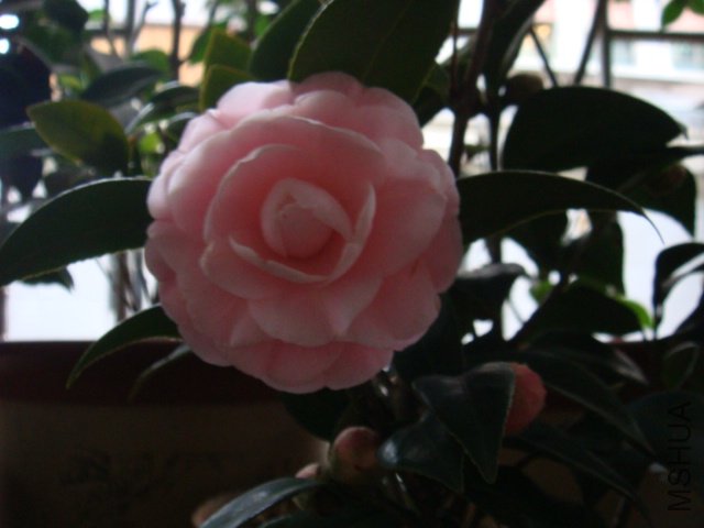 1.JPG