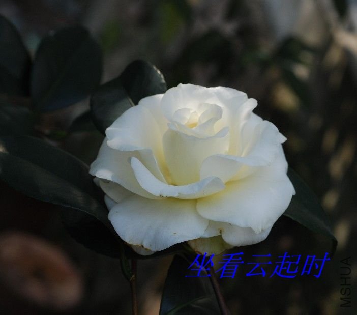 nEO_IMG_��ĵ��.jpg