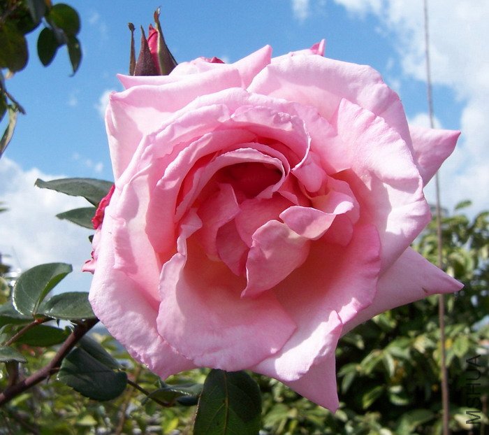 100113 021.jpg