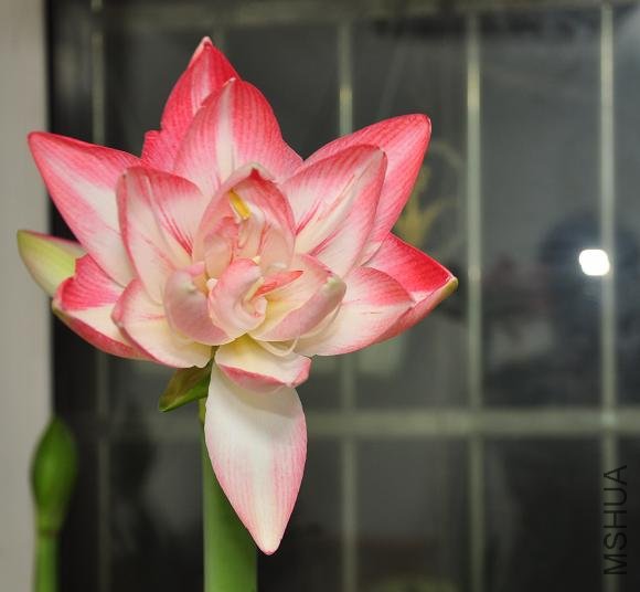 DSC_0327.JPG