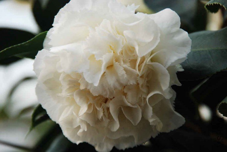 �����ġ�����