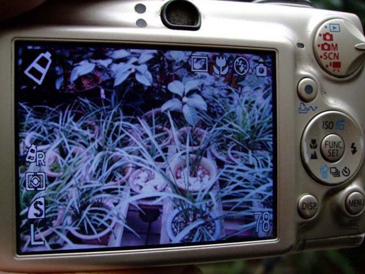 ��Ƭ10-1-15a 00511.jpg