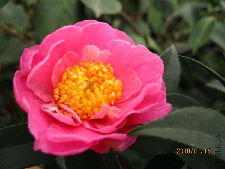 ��Ƭ10-1-16c 02111.jpg