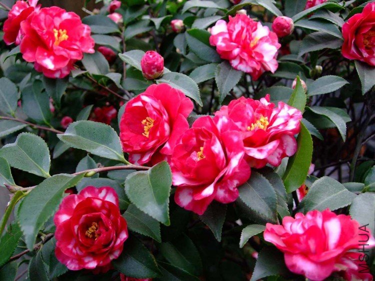 ��Ƭ10-1-18 01911.jpg