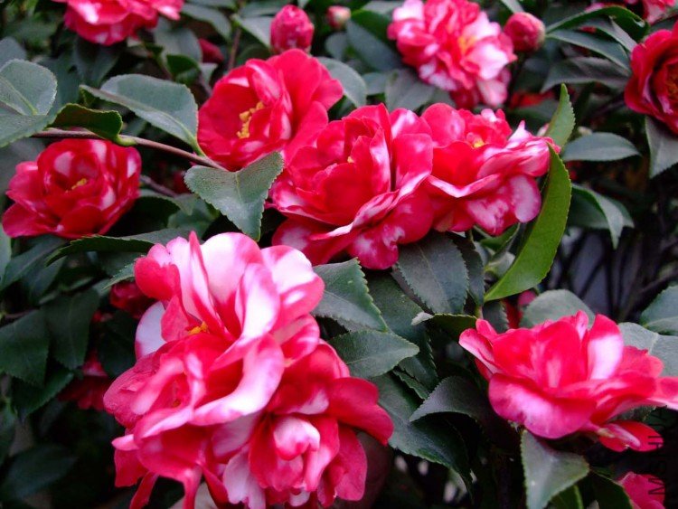 ��Ƭ10-1-18 02111.jpg