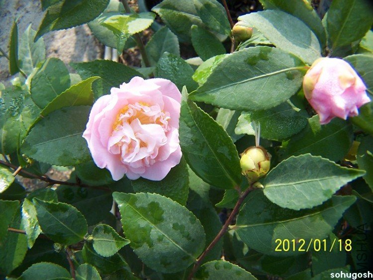100_7798.jpg