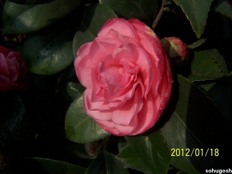 100_7802.jpg