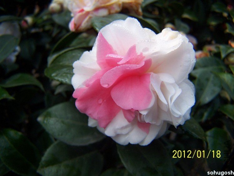 100_7824.jpg