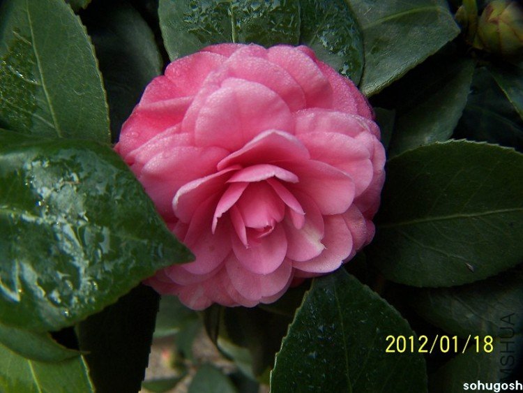 100_7816.jpg