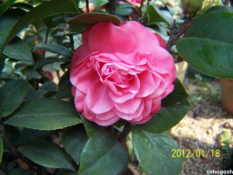 100_7804.jpg