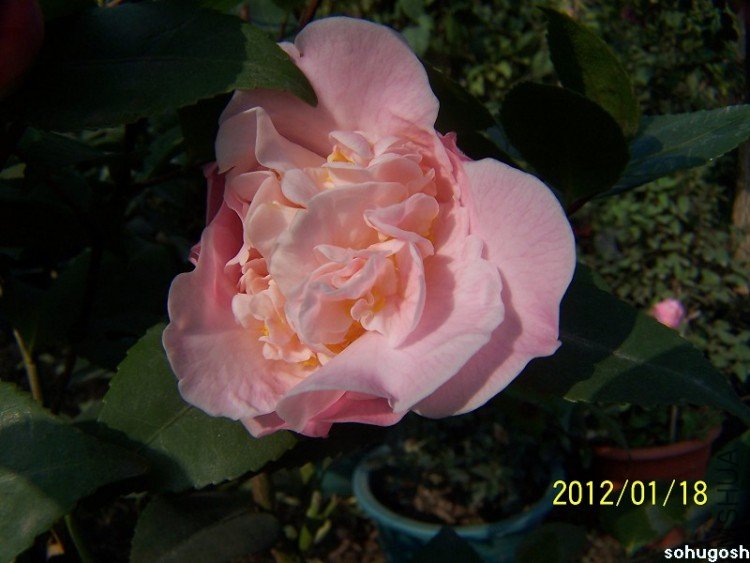100_7818.jpg