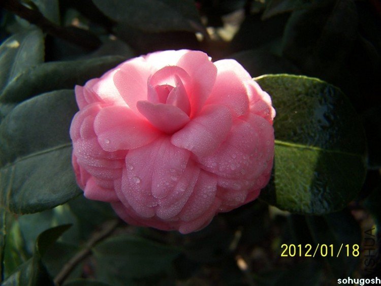 100_7829.jpg