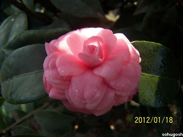 100_7830.jpg