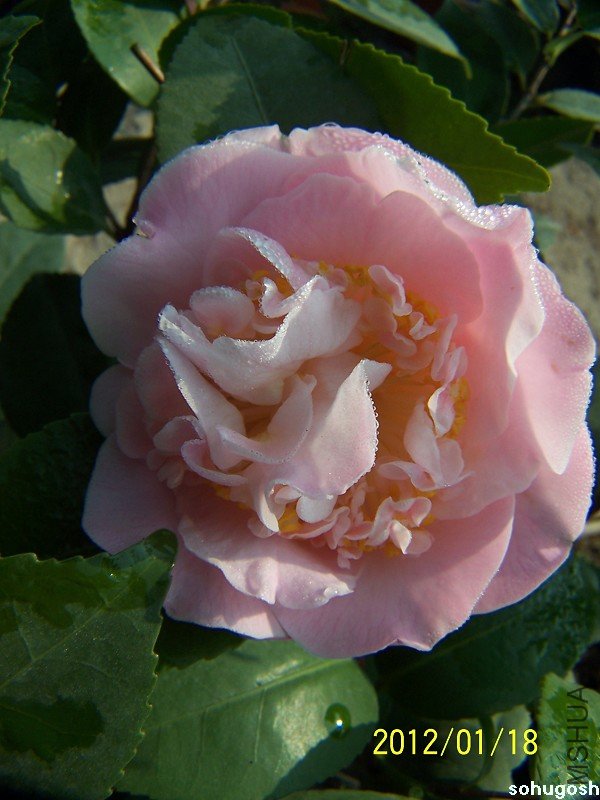100_7820.jpg