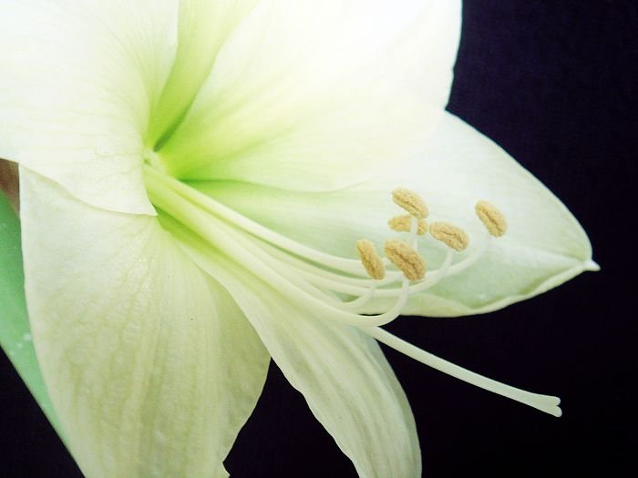 nEO_IMG_DSC00061.jpg