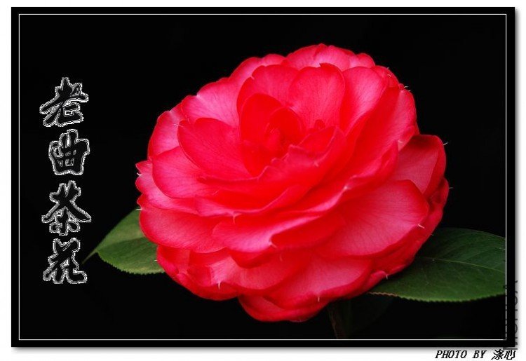 ������Ʒ��1 (1)_nEO_IMG_nEO_IMG.jpg