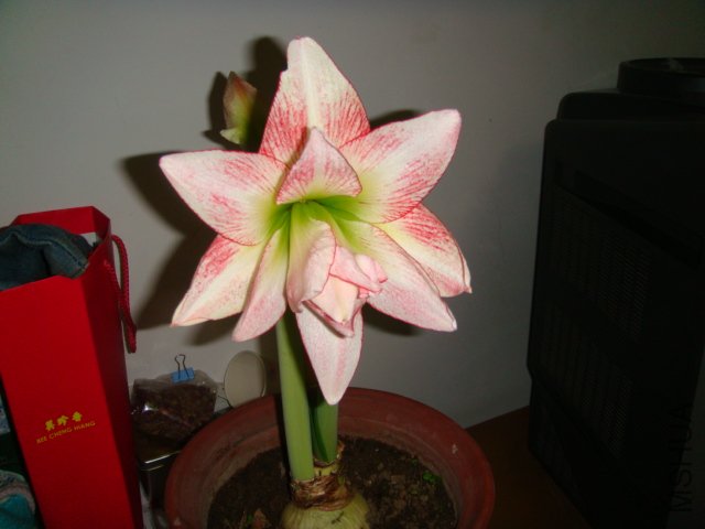 DSC01150.JPG