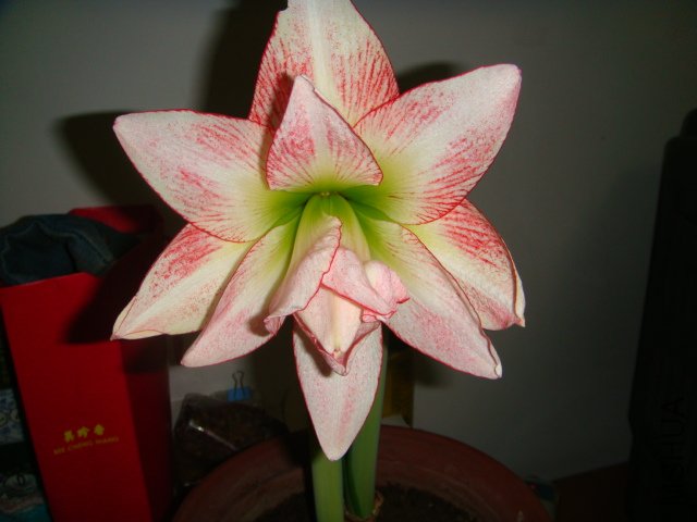 DSC01149.JPG