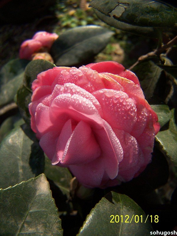100_7835.jpg