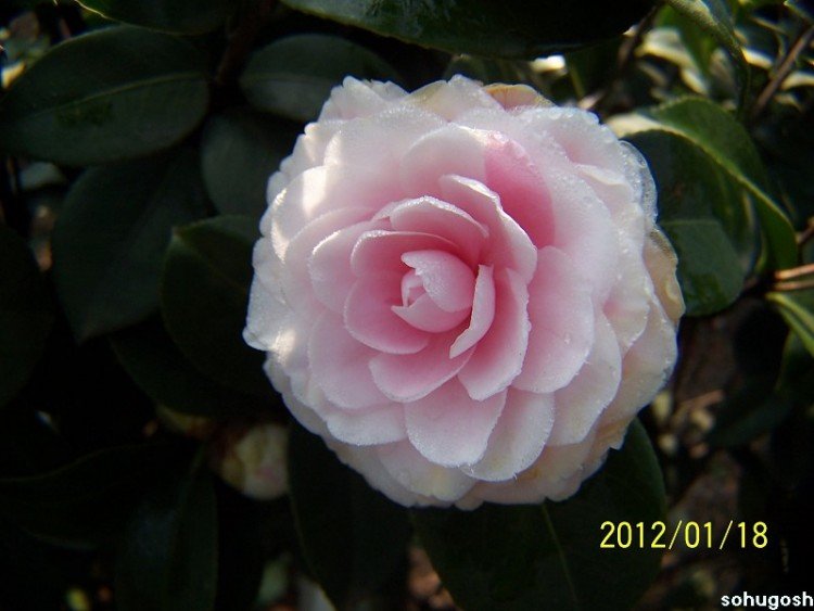 100_7823.jpg